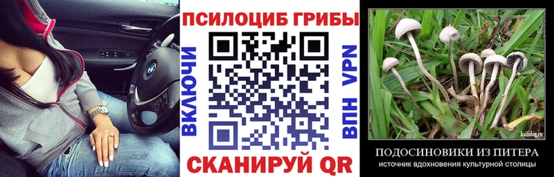 Псилоцибиновые грибы Psilocybe  mega рабочий сайт  Юрга 